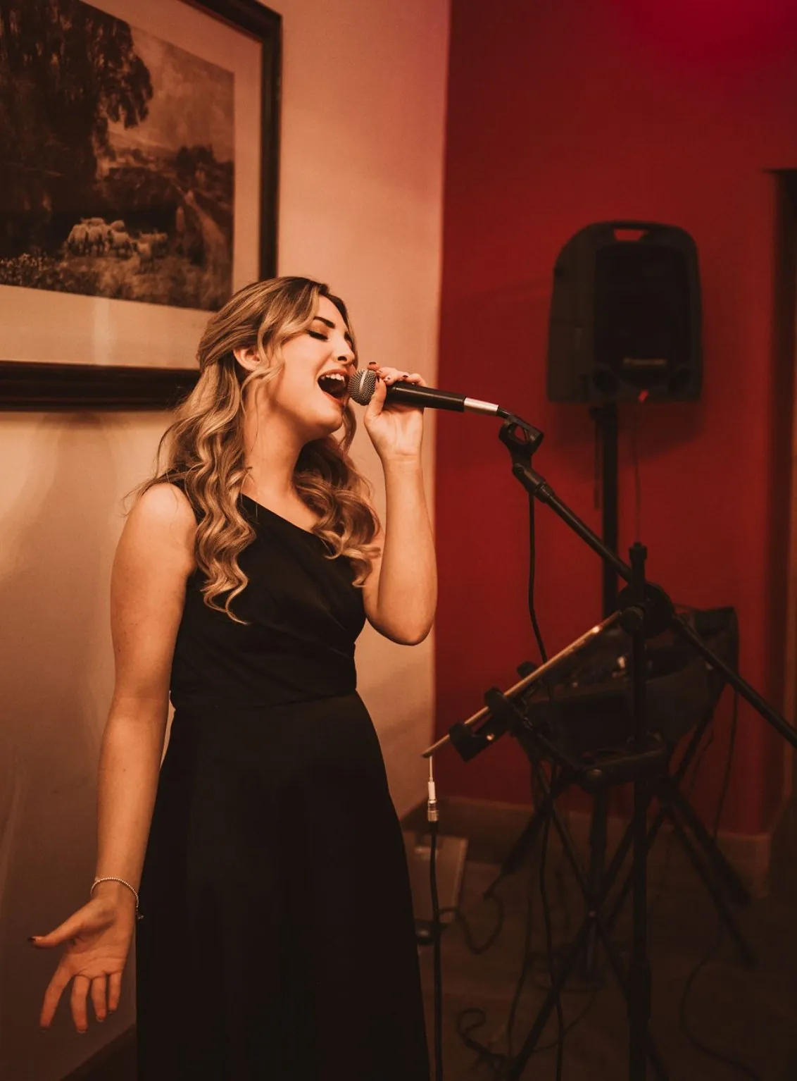 Jenny Jones performing live at a Cheshire estate wedding